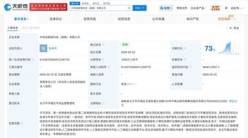 中國電信在湖南成立數智科技公司，聚焦網絡與信息安全軟件開發